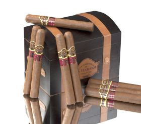 San Cristóbal de La Habana 20 Aniversario LCDH